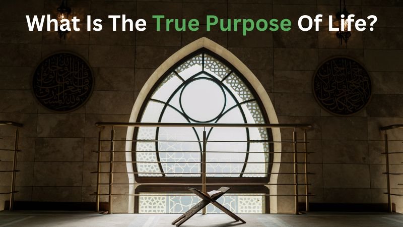 What Is The True Purpose Of Life?