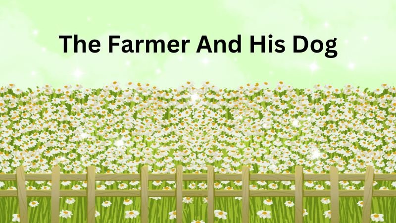 The Farmer And His Dog