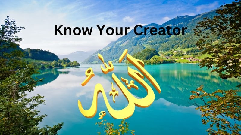 Discovering Allah The One Who Created Everything