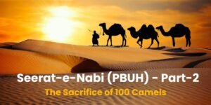 The Sacrifice of 100 Camels